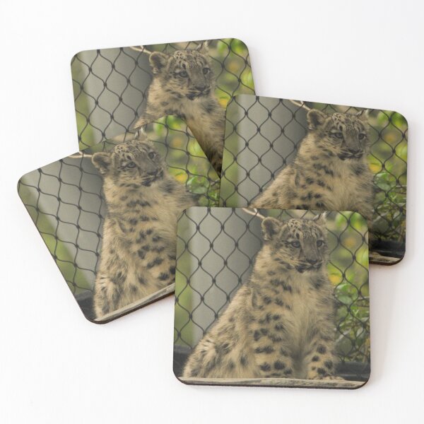 Item preview, Snow Leopard Cub designed and sold by heyiitshaleyy.