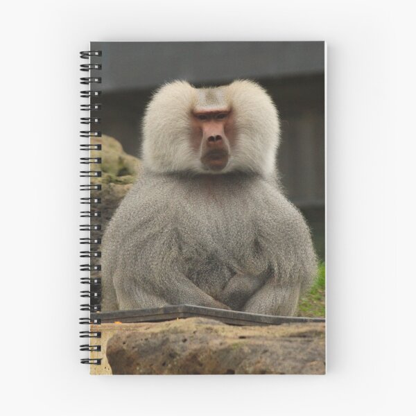 Item preview, Baboon designed and sold by heyiitshaleyy.