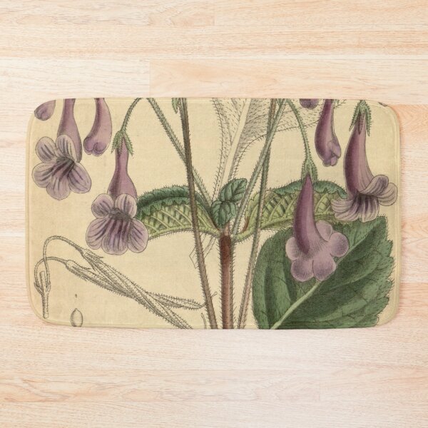 Item preview, Streptocarpus orientalis 139 8526 designed and sold by EsotericBotanic.