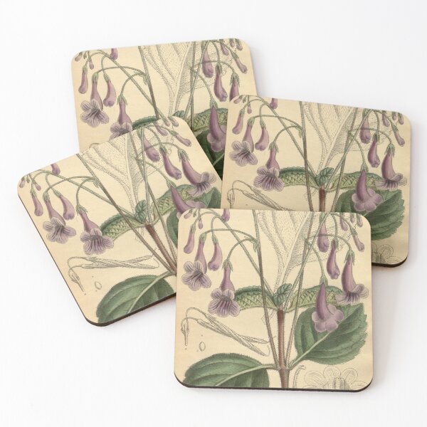 Item preview, Streptocarpus orientalis 139 8526 designed and sold by EsotericBotanic.