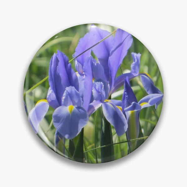 Item preview, Blue and Yellow Dutch Iris designed and sold by Honey Myrtle Studio.