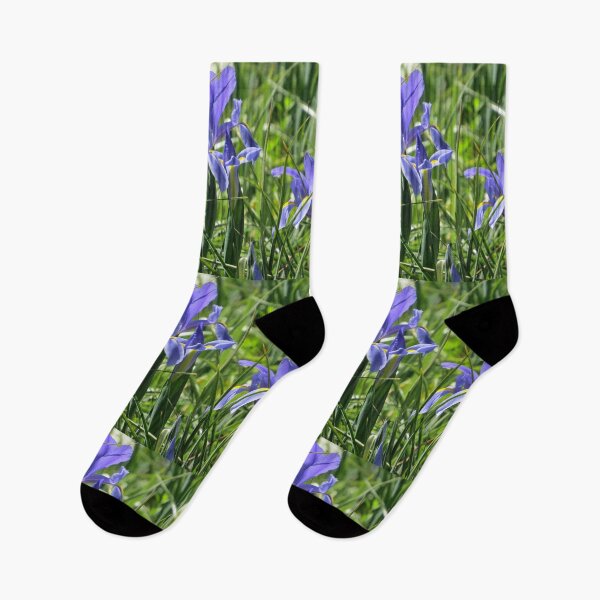 Item preview, Blue and Yellow Dutch Iris designed and sold by Honey Myrtle Studio.