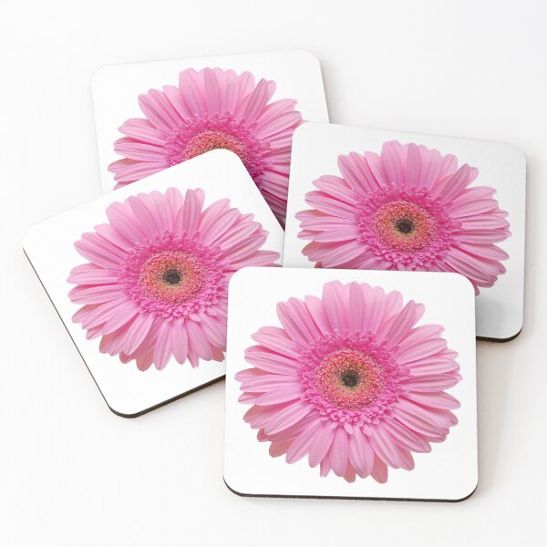Item preview, Pink Cerbera Daisy Bloom picture designed and sold by DarkHumorstore.