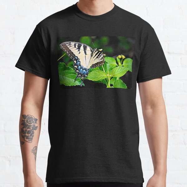 swallowtail shirt