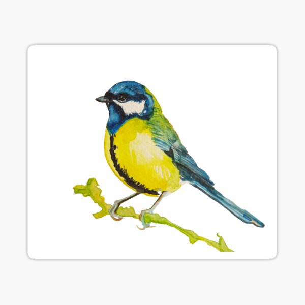 Item preview, Blue Tit  designed and sold by Hayley Holliday.