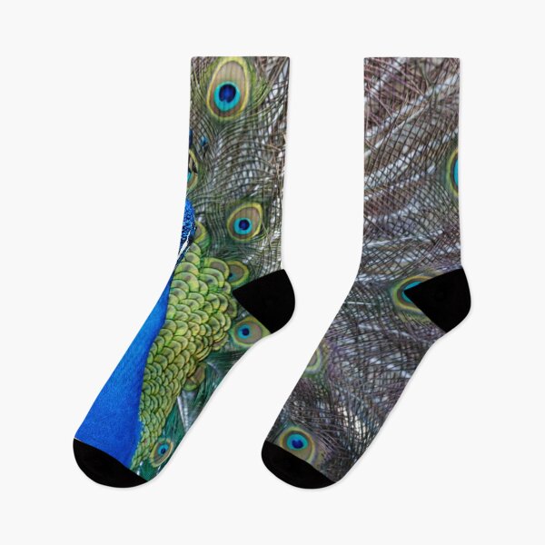 Item preview, Amazing peacock during his exhibition designed and sold by Lefteris Betsis.
