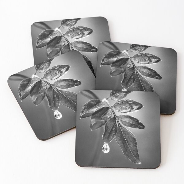 Item preview, Black and White leaf in the rain designed and sold by photodesigns.