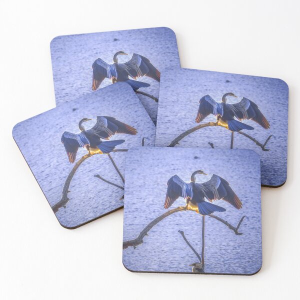 Item preview, Australasian Darter Drying His Wings designed and sold by Steven Jodoin.