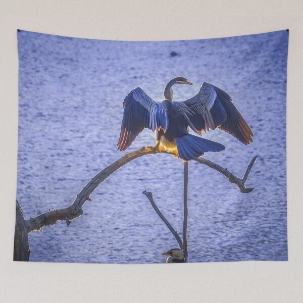 Item preview, Australasian Darter Drying His Wings designed and sold by Steven Jodoin.