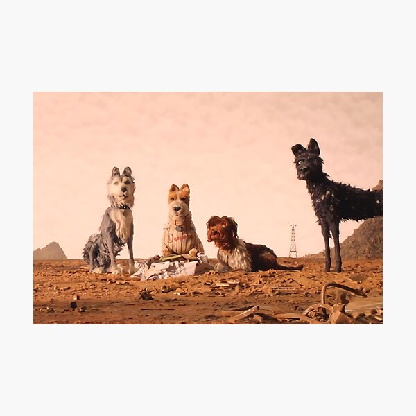 Fantastic Dogs Photographic Print