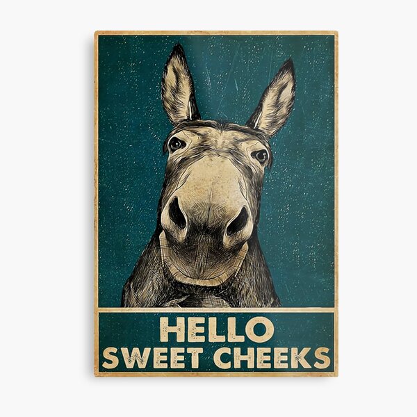 Donkey Hello Sweet Cheeks Metal Print