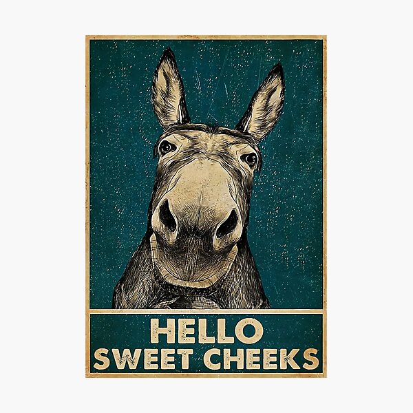 Donkey Hello Sweet Cheeks Photographic Print
