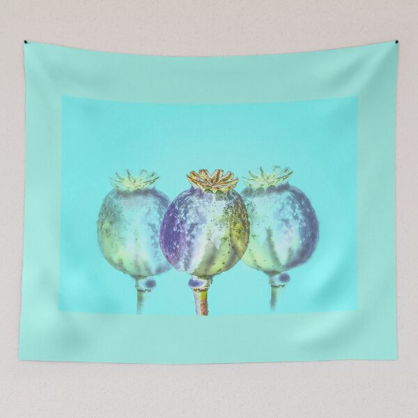 Item preview, Poppy Seed Heads designed and sold by Alisonchambers2.