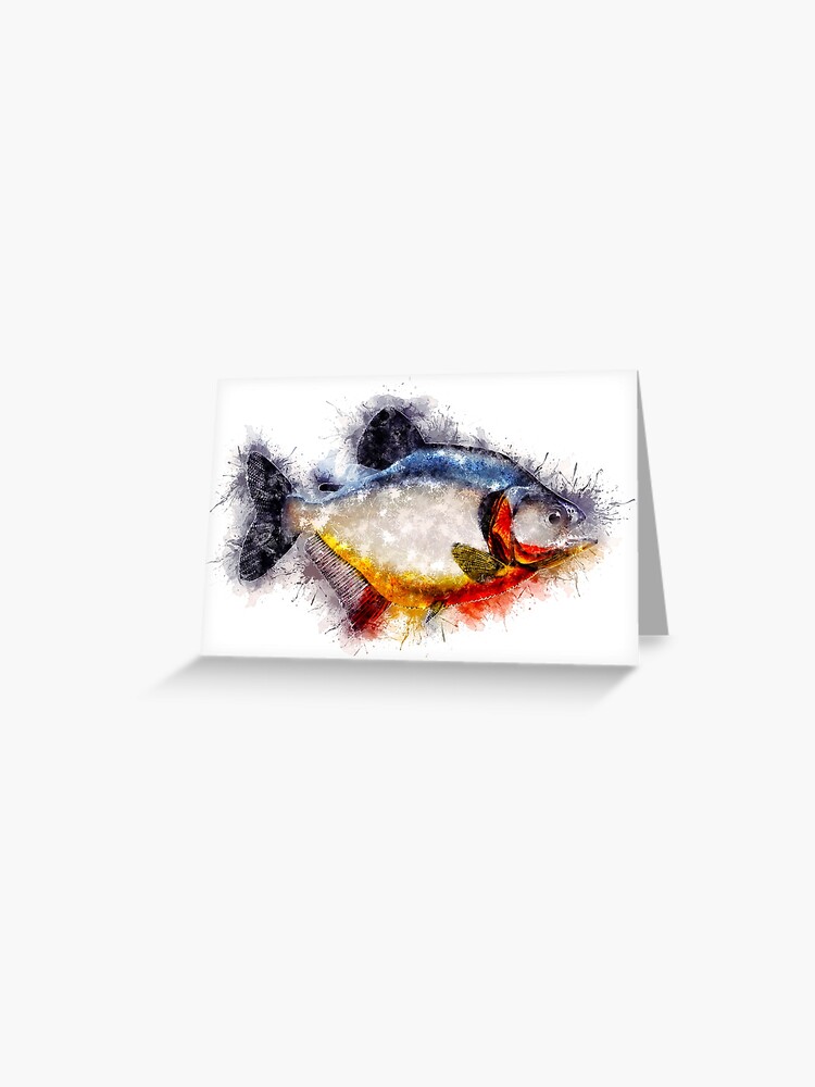 Red Bellied PIRANHA Watercolor Art for the Fishing Lovers and