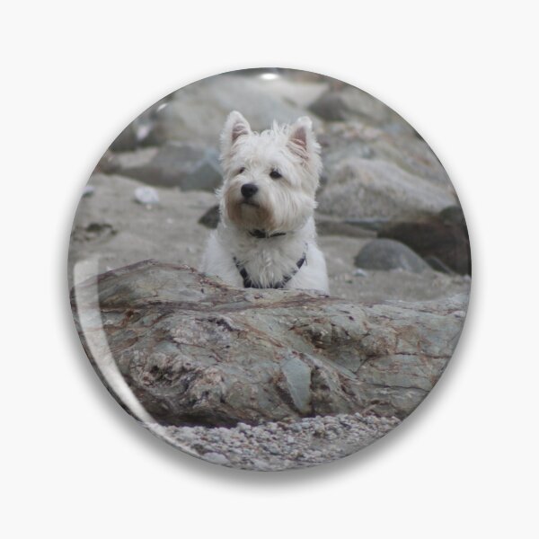 Item preview, Westy having fun on a beach designed and sold by CornishPano.