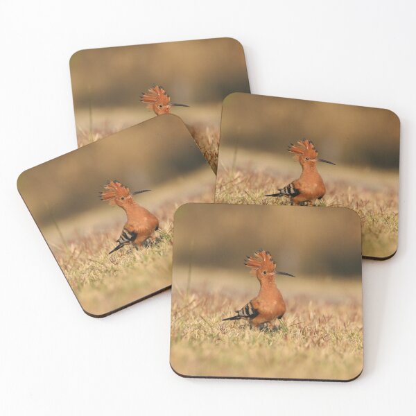 Item preview, African Hoopoo designed and sold by Wouter van Spijker.