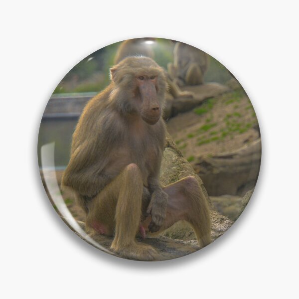 Item preview, Its a Baboon's Life designed and sold by Steven Jodoin.