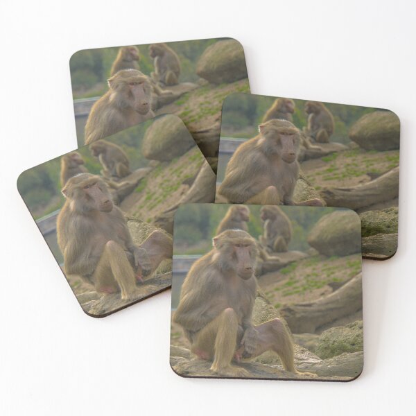 Item preview, Its a Baboon's Life designed and sold by Steven Jodoin.
