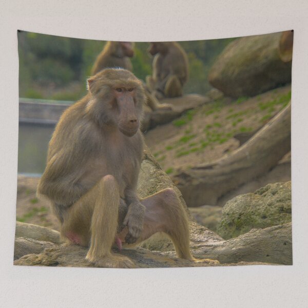 Item preview, Its a Baboon's Life designed and sold by Steven Jodoin.