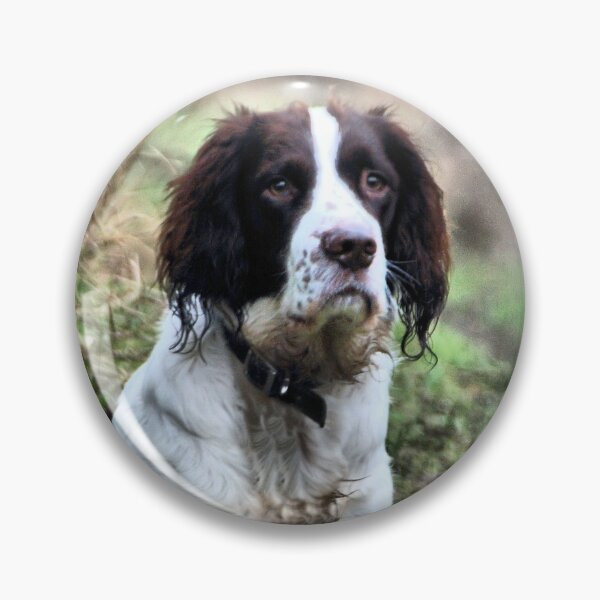 Item preview, Spaniel designed and sold by JEZ22.
