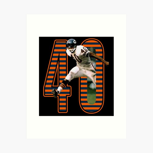 Gale Sayers — Al Sorenson Art