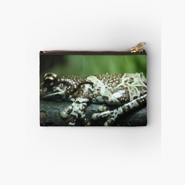 Item preview, Resting Tree Frog designed and sold by Kassidy Coleman.