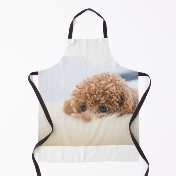 Item preview, Curly-Haired Toy Poodle designed and sold by Mohit Sebastian.