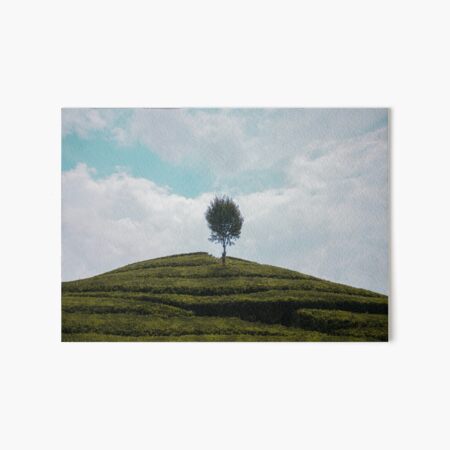 A Lonely Tree Art Board Print