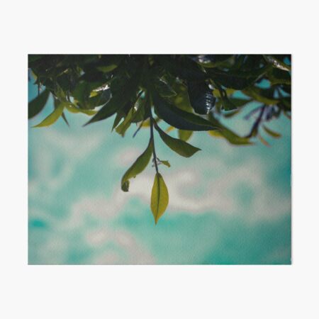 Magical Tea Leaf Art Board Print