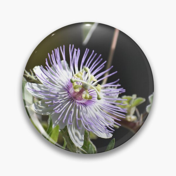 Item preview, Passion Flower designed and sold by Kathleen Brant.