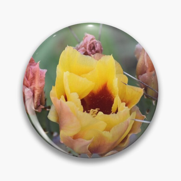 Item preview, Beginning to Bloom designed and sold by Kathleen Brant.