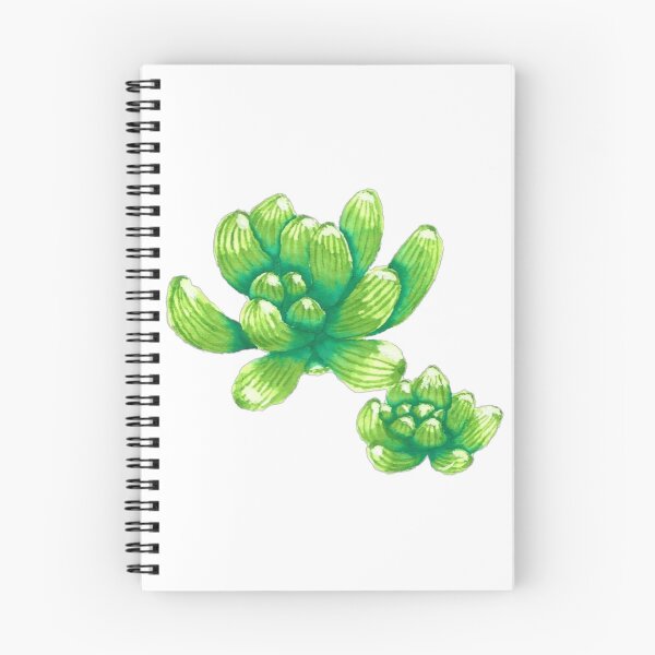 Item preview, Green succulent plant designed and sold by Ankita Bhuyan.