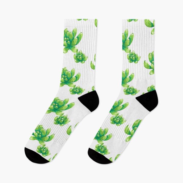 Item preview, Green succulent plant designed and sold by Ankita Bhuyan.