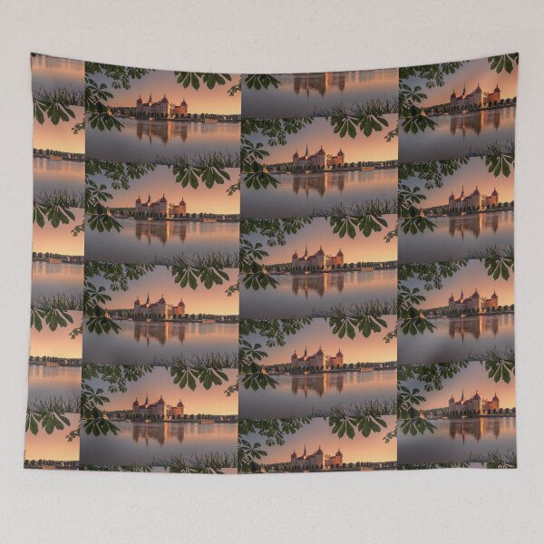 Item preview, Germany. Saxony. Moritzburg Castle. Sunrise. designed and sold by vadim19.