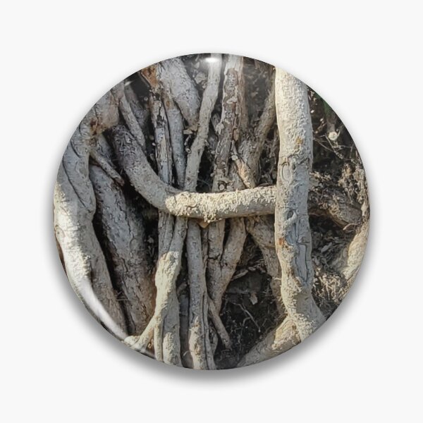 Item preview, Roots designed and sold by Quirki.