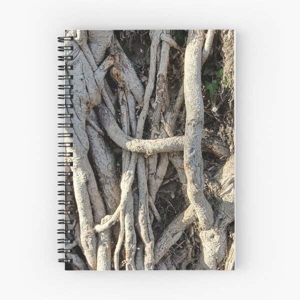 Item preview, Roots designed and sold by Quirki.