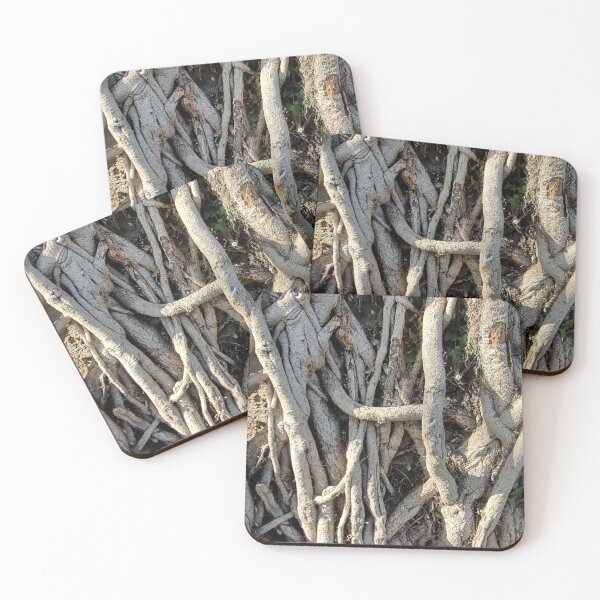 Item preview, Roots designed and sold by Quirki.