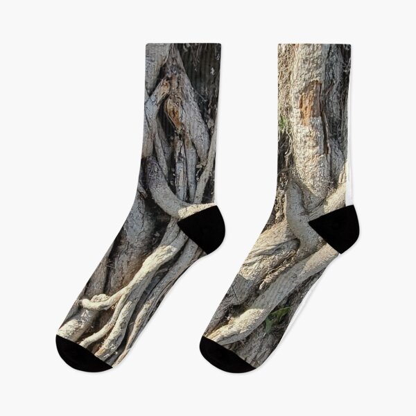 Item preview, Roots designed and sold by Quirki.