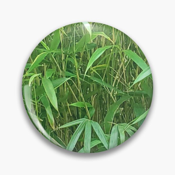 Item preview, Bamboo Stalks designed and sold by Quirki.