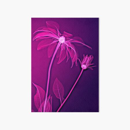 Xrayed Daisy flower Art Board Print