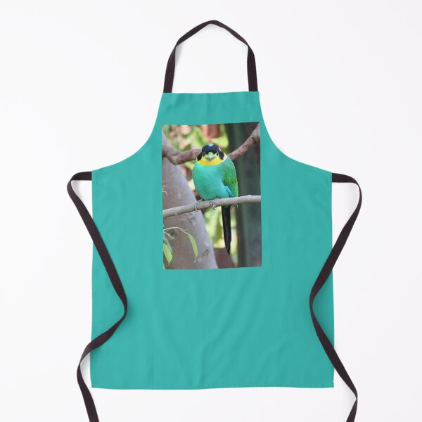 Item preview, Long-tailed Broadbill designed and sold by Linda Walsh.
