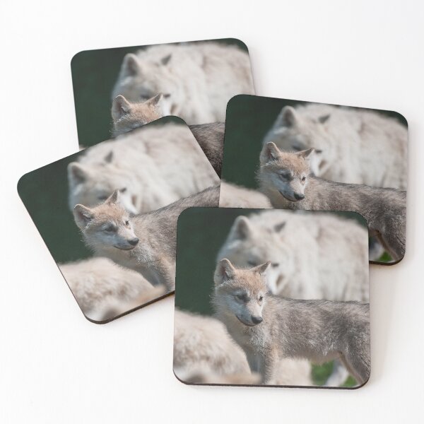 Item preview, Arctic Wolf designed and sold by WolvesOnly.
