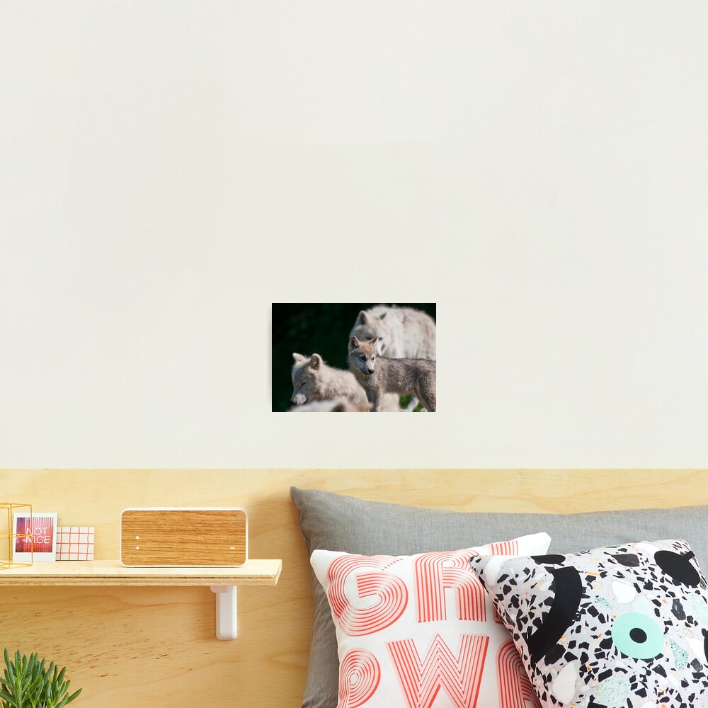 Vista previa del artículo con la obra «Lámina fotográfica», diseñado y vendido por WolvesOnly.