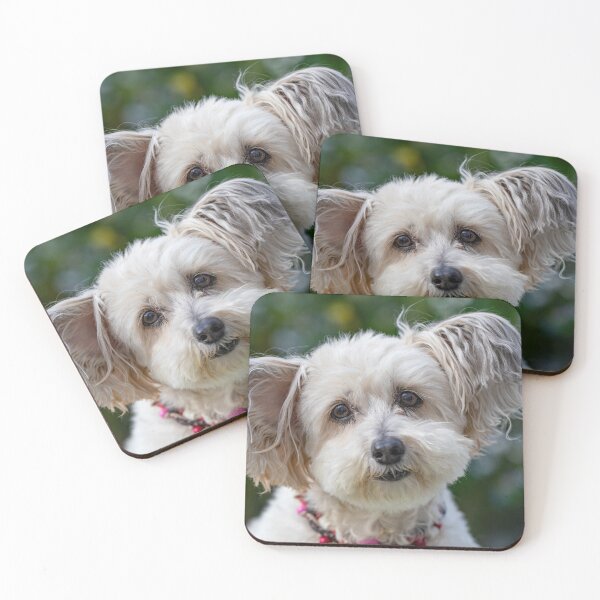Item preview, Cute Dog  designed and sold by TrendingMerch20.