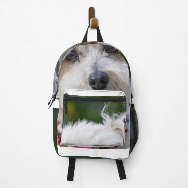 Item preview, Cute Dog designed and sold by TrendingMerch20.