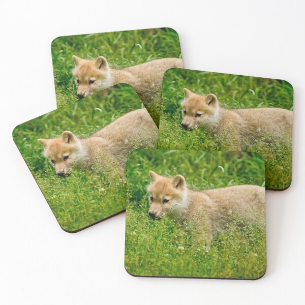 Item preview, Arctic Wolf Pup designed and sold by WolvesOnly.