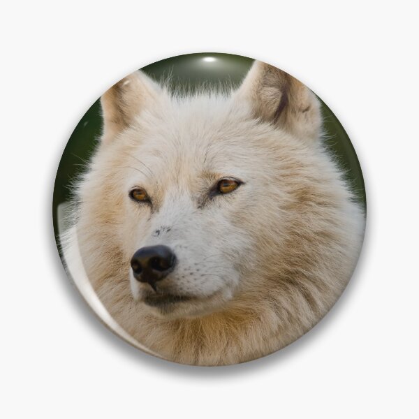 Item preview, Arctic Wolf designed and sold by WolvesOnly.