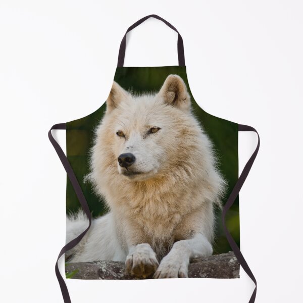 Artikelvorschau, arktischer Wolf entworfen und verkauft von WolvesOnly.