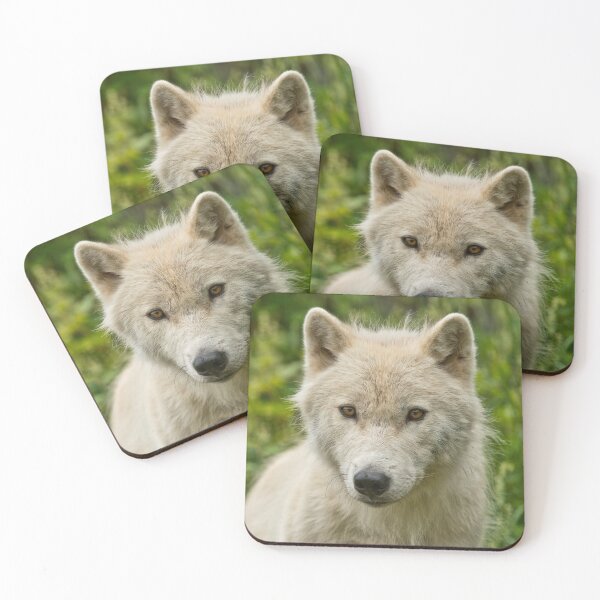 Item preview, Arctic Wolf designed and sold by WolvesOnly.