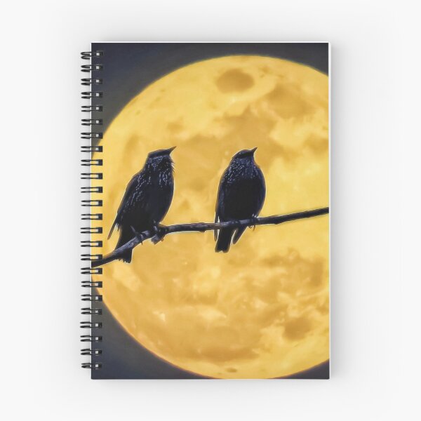 Item preview, Moonlighters designed and sold by KathyGail.